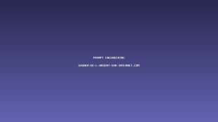 Prompt Engineering